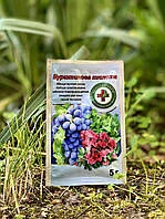 Бурштинова кислота 5г
